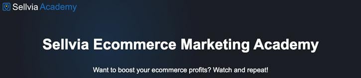 Sellvia Ecommerce Marketing Academy