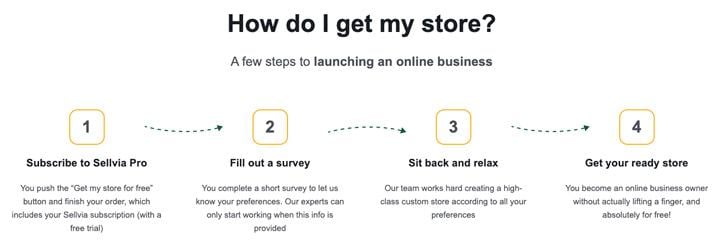 Sellvia PRO how to start an eCommerce store